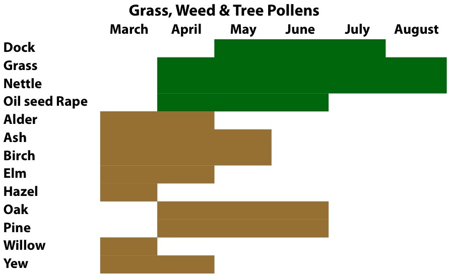 Hay Fever Season Chart