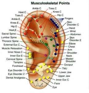 Musculoskeletal Points